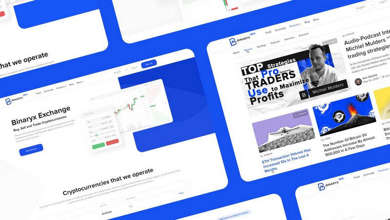 Binaryx System Evaluation - Is it Safe and Legit?